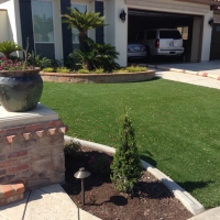 Artificial Grass Carpet Lakeside, California Lawn And Garden, Front Yard