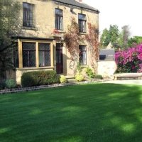 Artificial Grass Installation Lemon Grove, California Gardeners, Front Yard Design