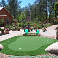 Artificial Lawn National City, California Diy Putting Green, Beautiful Backyards