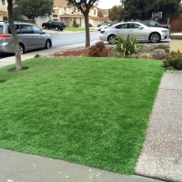 Artificial Lawn Rancho San Diego, California Gardeners, Front Yard