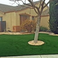 Artificial Lawn Solana Beach, California Landscape Photos, Front Yard Landscape Ideas