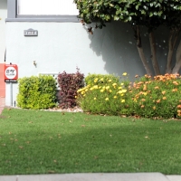 Artificial Turf Cost Vista, California Gardeners, Landscaping Ideas For Front Yard