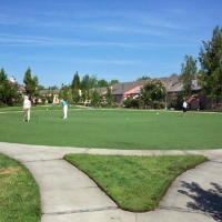 Artificial Turf Installation Pine Valley, California Landscape Ideas, Commercial Landscape