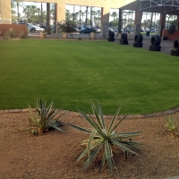 Artificial Turf Jacumba, California Landscaping Business, Commercial Landscape