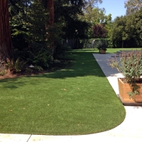 Fake Grass Carpet Del Mar, California Home And Garden, Front Yard Landscaping