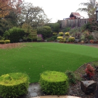 Fake Grass Carpet Descanso, California Landscape Photos, Backyard