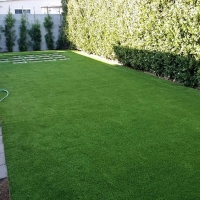 Fake Grass Carpet Encinitas, California Drainage, Backyard Landscaping