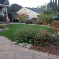 Fake Grass Carpet Fallbrook, California Roof Top, Front Yard Design