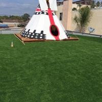 Fake Grass Carpet Potrero, California Rooftop, Deck