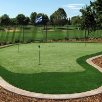 Fake Grass Carpet Ramona, California Putting Green, Backyard Designs