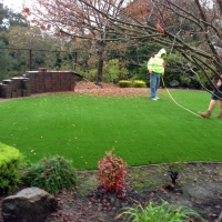 Fake Grass Carpet Winter Gardens, California Home And Garden, Small Backyard Ideas