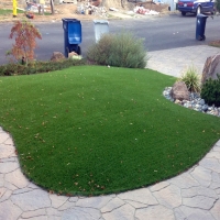 Fake Grass Imperial Beach, California Backyard Playground