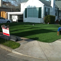 Fake Grass Lakeside, California Landscape Ideas, Front Yard