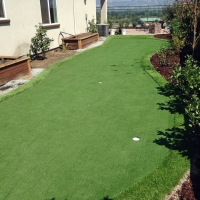 Fake Grass Rancho San Diego, California Landscape Design, Backyard Makeover