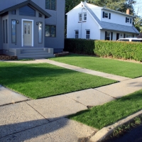 Fake Grass Spring Valley, California Landscaping, Front Yard Landscaping