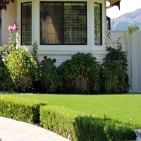 Fake Lawn Bonita, California Landscaping, Front Yard Landscaping Ideas