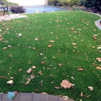 Fake Lawn Campo, California Backyard Playground, Front Yard Landscaping