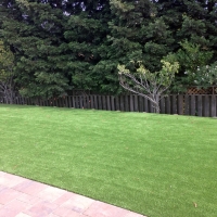 Fake Lawn Crest, California Design Ideas, Backyard Landscape Ideas