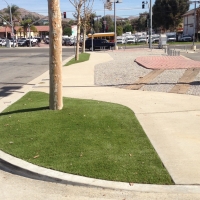 Fake Lawn Vista, California Landscaping Business, Commercial Landscape