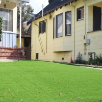 Fake Turf Bonita, California Roof Top, Front Yard