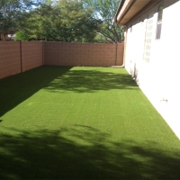 Fake Turf Imperial Beach, California Garden Ideas, Backyard Designs