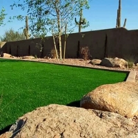 Fake Turf Jamul, California City Landscape, Backyard Design