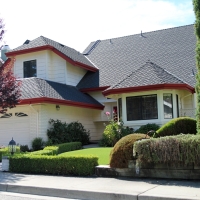 Faux Grass Campo, California Landscape Photos, Front Yard Landscape Ideas