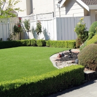 Faux Grass Santee, California Landscape Ideas, Front Yard Ideas