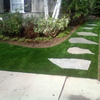 Grass Carpet Chula Vista, California Landscape Design, Front Yard Landscape Ideas