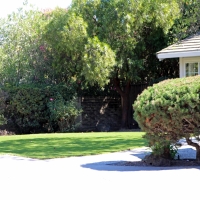 Grass Carpet Granite Hills, California Lawn And Garden, Front Yard Design