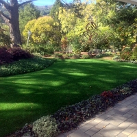 Grass Carpet La Mesa, California Landscape Design, Beautiful Backyards