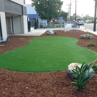 Grass Carpet La Presa, California Lawn And Landscape, Commercial Landscape