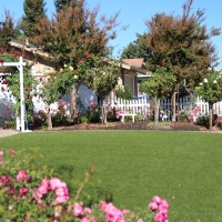 Grass Carpet Pine Valley, California Home And Garden, Front Yard Design