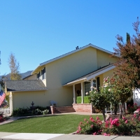 Grass Carpet Solana Beach, California Design Ideas, Front Yard Ideas