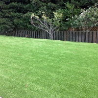 Grass Turf Campo, California Lawns, Backyard Design