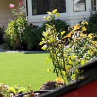 Grass Turf National City, California Rooftop, Small Front Yard Landscaping