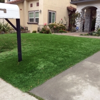 Grass Turf Oceanside, California Lawn And Landscape, Front Yard Landscape Ideas