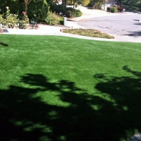 Green Lawn Eucalyptus Hills, California City Landscape, Small Front Yard Landscaping