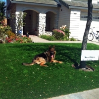 Lawn Services Camp Pendleton South, California Cat Playground, Front Yard Design