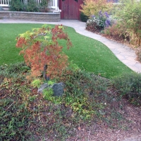 Outdoor Carpet Del Mar, California Gardeners, Front Yard Design