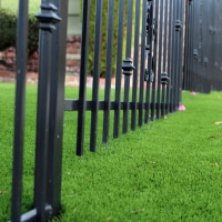 Outdoor Carpet Rancho San Diego, California Backyard Playground, Small Front Yard Landscaping