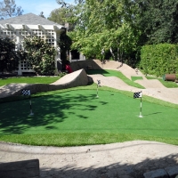 Outdoor Carpet San Pasqual, California Putting Green Grass, Backyard Designs