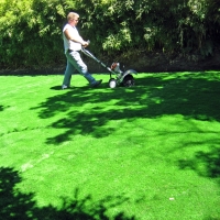 Plastic Grass Casa de Oro-Mount Helix, California City Landscape, Small Backyard Ideas