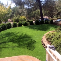 Plastic Grass Imperial Beach, California Landscape Design, Backyard Ideas