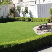 Synthetic Grass El Cajon, California Design Ideas, Backyard Landscape Ideas