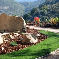 Synthetic Lawn Casa de Oro-Mount Helix, California Rooftop, Small Front Yard Landscaping