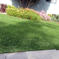 Synthetic Lawn Ramona, California Garden Ideas, Front Yard