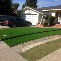 Synthetic Turf Borrego Springs, California Rooftop, Small Front Yard Landscaping