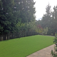 Synthetic Turf La Mesa, California Paver Patio, Backyard Landscape Ideas