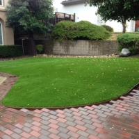 Synthetic Turf La Mesa, California Backyard Playground, Front Yard Landscaping